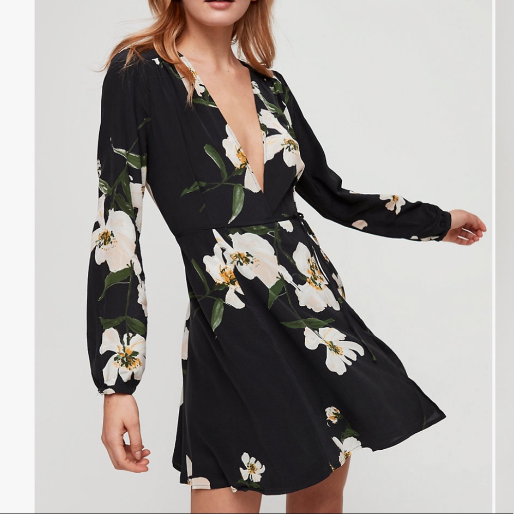 Aritzia Diane Dress (Wilfred)